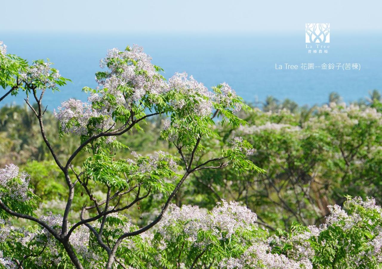 شقة La Tree 普椿農場木子莊園 دونغهاي المظهر الخارجي الصورة