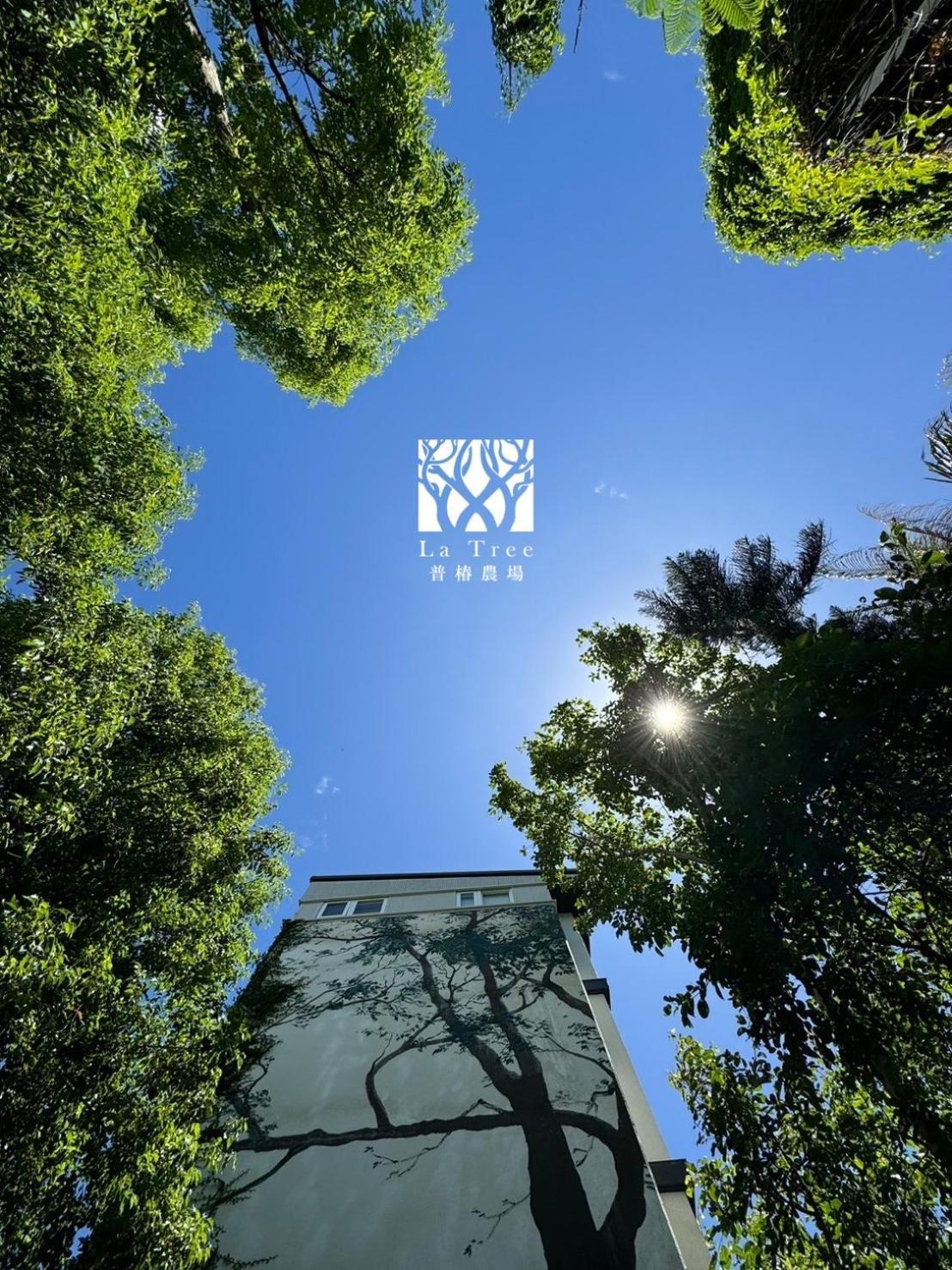 شقة La Tree 普椿農場木子莊園 دونغهاي المظهر الخارجي الصورة